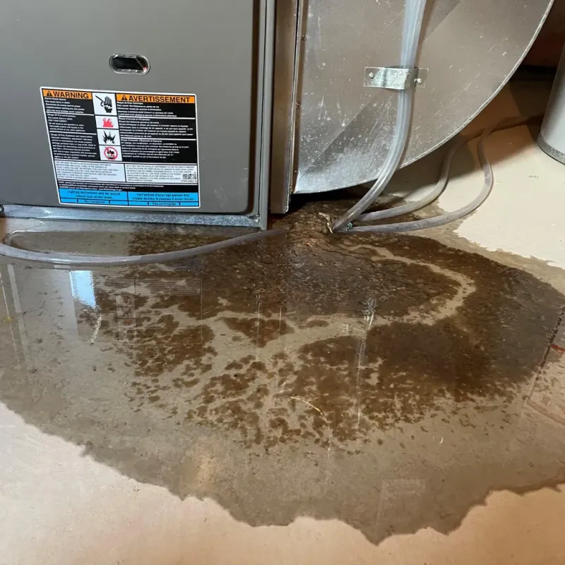 Appliance Leak Cleanup in South Henderson, NC